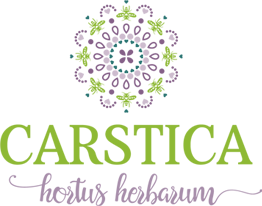 Logo Carstica